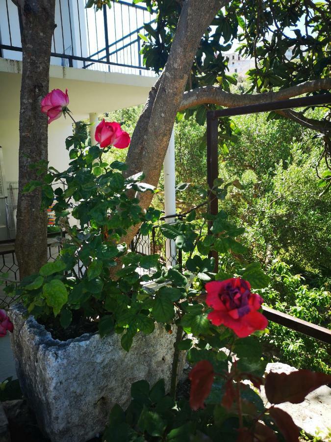 Apartman Sissy Primošten المظهر الخارجي الصورة