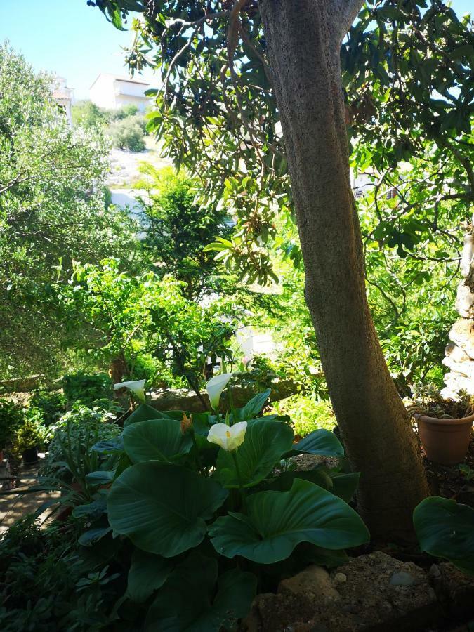 Apartman Sissy Primošten المظهر الخارجي الصورة